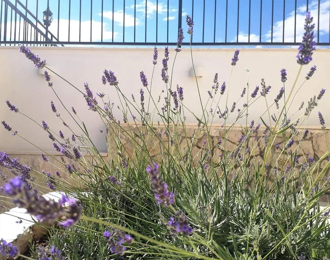 Villa Mendula Trogir - Luxury Villa By The Beach - Heated Pool - Organic Garden 克罗地亚